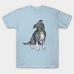 Cute American Pit Bull Terrier | Blue T-Shirt